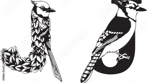 Blue Jay Illustration on Letter J Forms