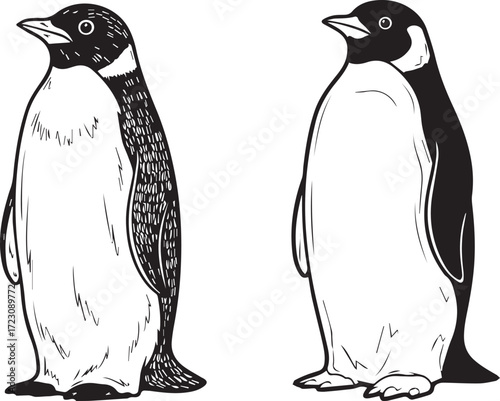 Two Penguin Illustrations in Black and White