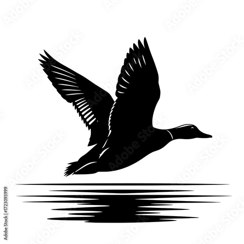 Silhouette of a duck in flight with its reflection on the water isolated on white background
