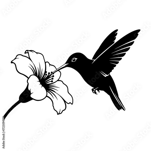 Black silhouette of a hummingbird hovering and feeding from a delicate flower isolated on white background