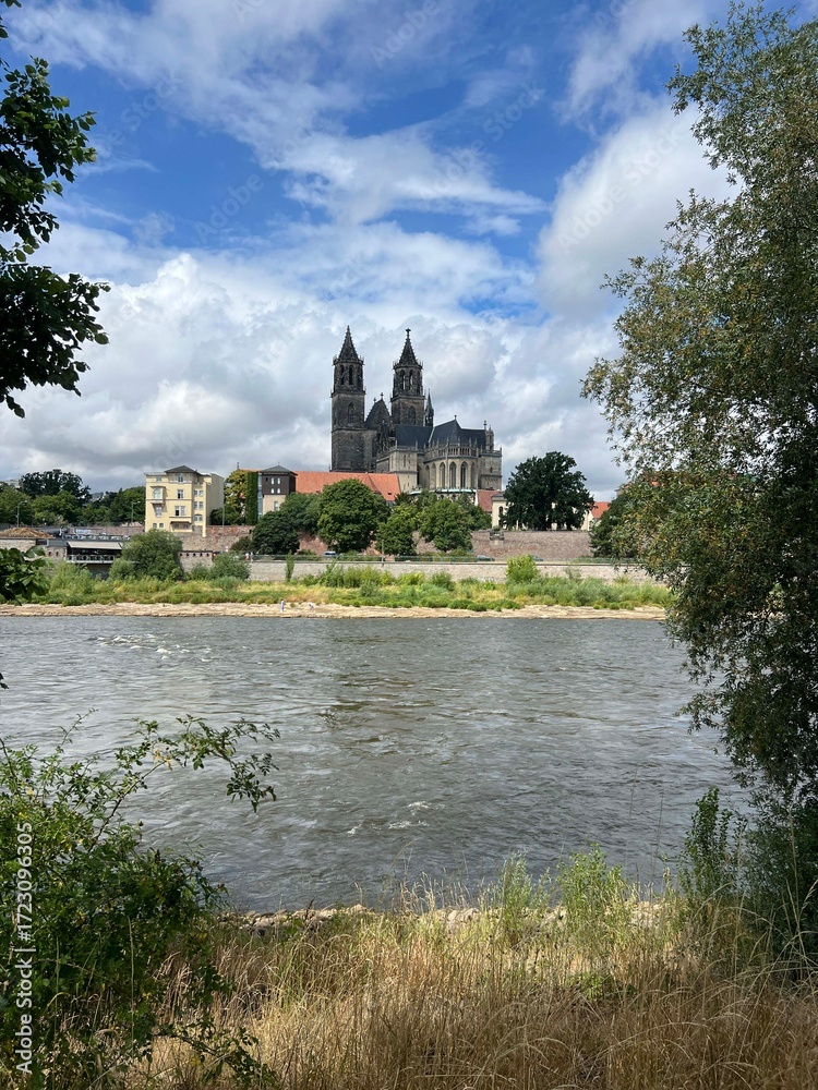 Obraz premium Magdeburg Cathedral and the elbe river