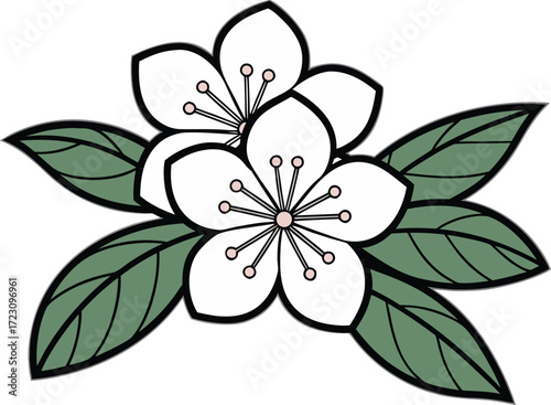 Beautiful Mountain Laurel Illustration. Realistic Mountain Laurel Artwork. Elegant Mountain Laurel Clipart. Colorful Mountain Laurel Floral Design. Botanical  Decorative Mountain Laurel Drawing