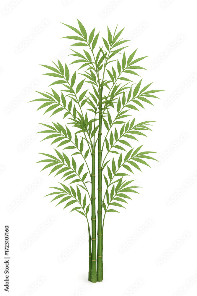 Obraz premium Bamboo plant growing with lush green leaves on transparent background