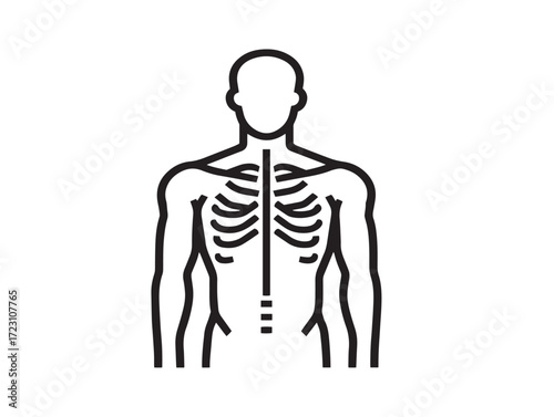Human Body Icon in Clean Minimal Elegant Vector Line Art