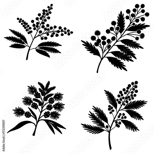 Silhouette illustration of four different flowering plant branches with leaves and berries on a white background
