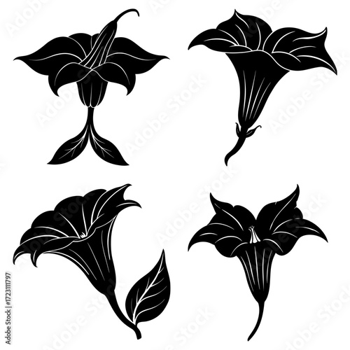 Four black and white datura flowers in various stages of bloom with detailed petal and leaf structures
