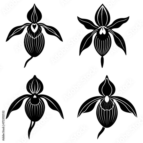 Four stylized black and white orchid flowers with detailed petal and bulb illustrations in a square format