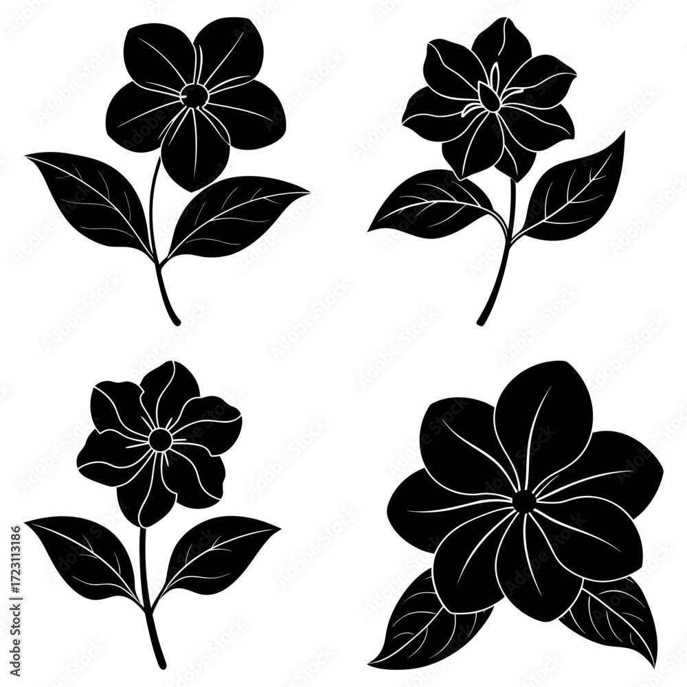 Obraz premium Four black and white floral illustrations featuring flowers with five petals and detailed leaves design art