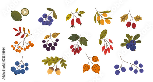 Set of different autumnal berries. Trendy design with texture effect. Flat vector illustration. Perfect templates to decorate a thematic cards, posters, banners, advertising, covers, labels, etc.