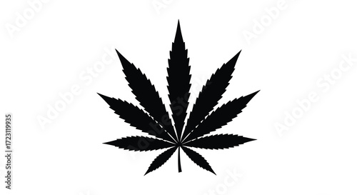 Detailed cannabis leaf depiction in a stark black and white silhouette
