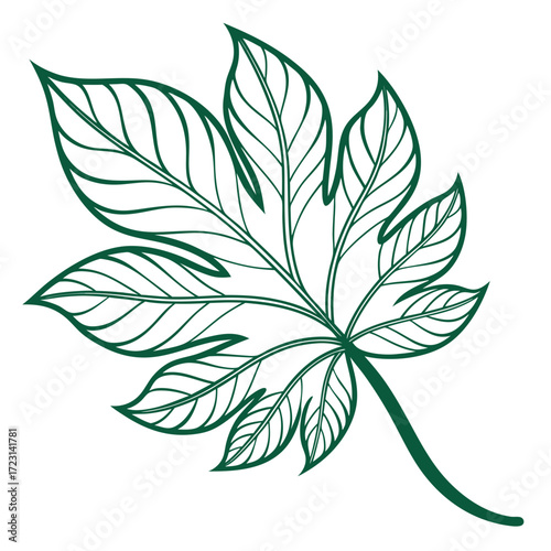 Stylized dark green outline of a palmate leaf with intricate vein details on a white background