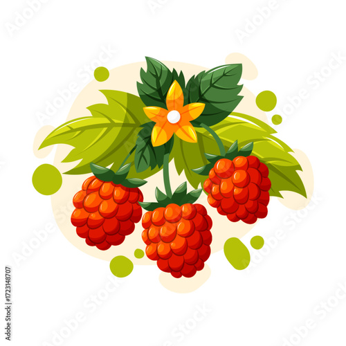 Red raspberries vector illustration with leaves and flower. Cartoon berries for garden, summer harvest, food and healthy lifestyle.