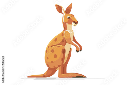 kangaroo species outback red isolated