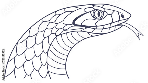 Detailed Line Art Depicting a Snakes Head with Extended Tongue