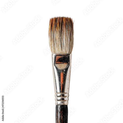 Close-up of a paintbrush tip, bristles, and handle