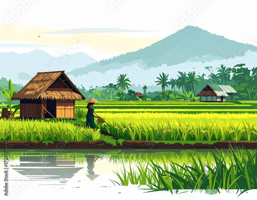 landscape of rice fields in Indonesia