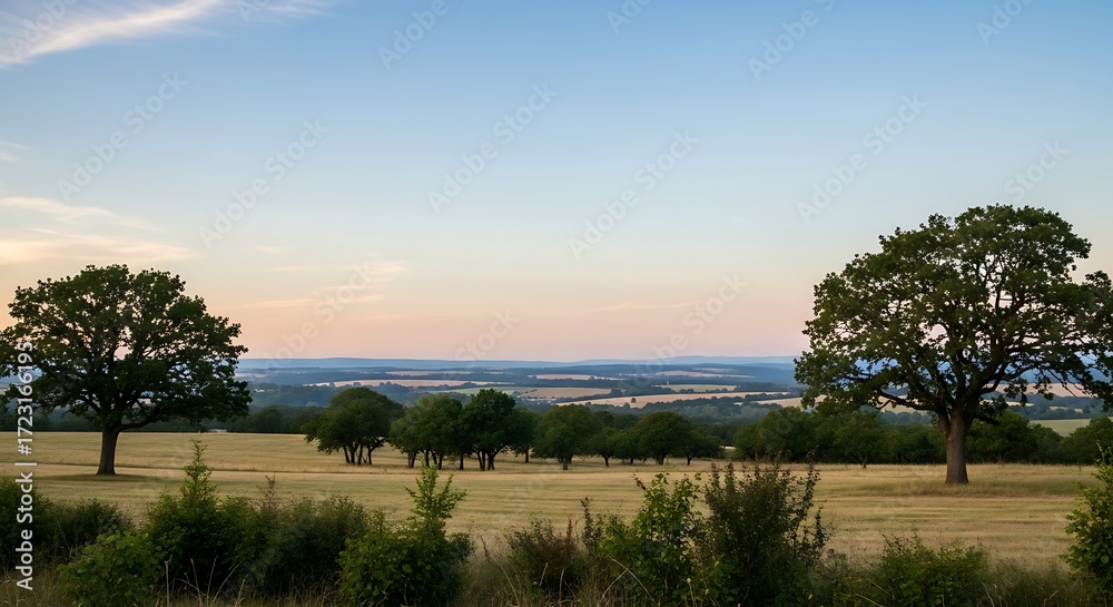 Obraz premium Golden Hour Landscape with Silhouetted Trees and Rolling Hills.