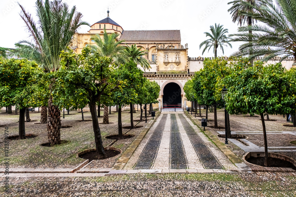 Obraz premium Mezquita Garden. View of the Patio de los Naranjos at the Mezquita of Cordoba. The mezquita, or now Cordoba Cathedral, was once the second largest mosque in the world. It was later converted to a cath
