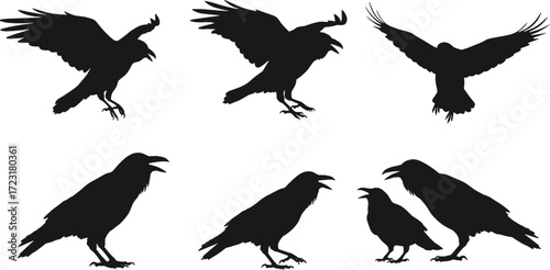 Raven silhouette illustration, bird artwork, flying raven vector, raven drawing, wildlife design, nature study, ornithology graphic, symbolic bird, gothic art