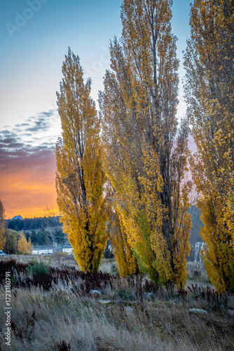 people enjoy beautiful landscape view of colorful leaves , turquoise lake and  snow cap moutain background at Lake Tekapo South Island New Zealand in the autumn