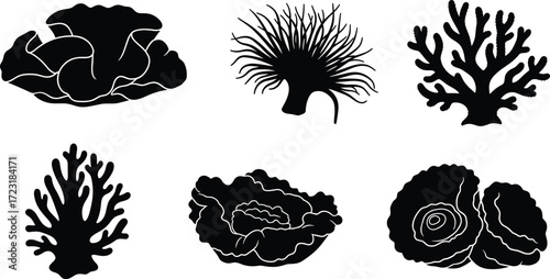 Coral illustration, marine plant artwork, ocean reef vector, underwater silhouette, biology study, exotic coral design, marine life drawing, abstract sea pattern