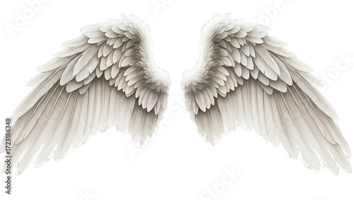 Pair of detailed, light gray angel wings (1)