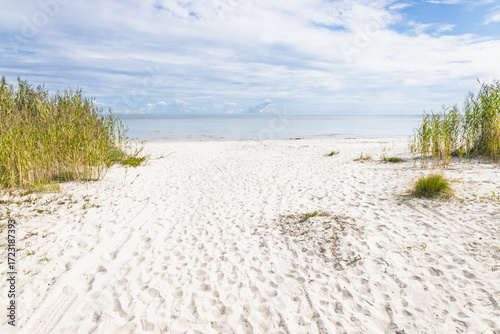Fototapeta Naklejka Na Ścianę i Meble -  Baltic Sea Beach with White Sand and Dune Grass under Blue Sky, Tranquil Coast