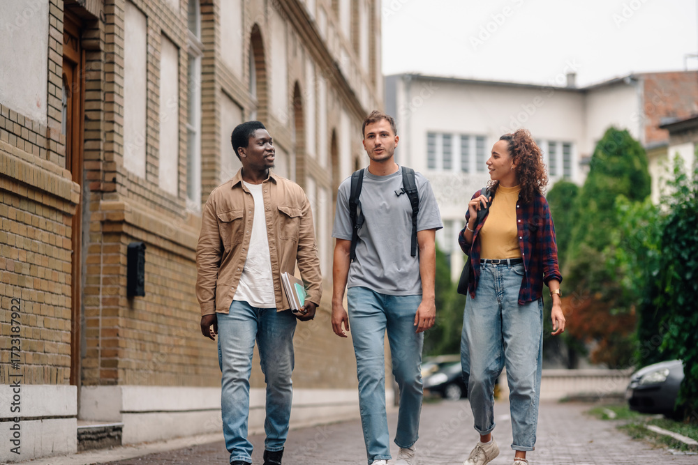 Fototapeta premium University students walking and talking on campus