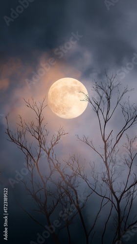 Large Full Moon Illuminating Dark Cloudy Sky with Bare Tree Branches in Silhouette Against Nighttime Horizon