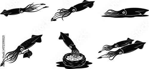 Squid silhouette illustration, marine life artwork, ocean animal drawing, cephalopod vector, squid hunting, biology study, seafood design, reproduction behavior, underwater creature