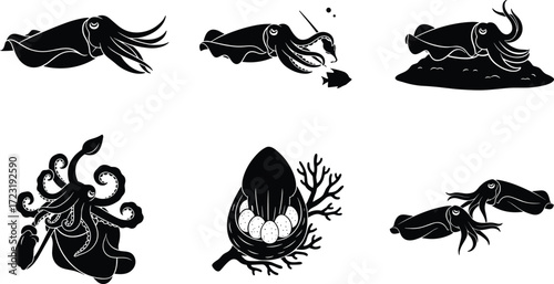 Squid silhouette illustration, marine life artwork, ocean animal drawing, cephalopod vector, squid behavior, biology study, seafood design, underwater creature graphic