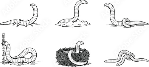Worm cartoon illustration, segmented creature artwork, soil animal design, insect-like drawing, crawling worm, funny bug, biology study, nature vector, mascot art