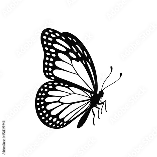Detailed Silhouette Illustration A Black Vector Image of a Butterfly with Intricate Wing Patterns