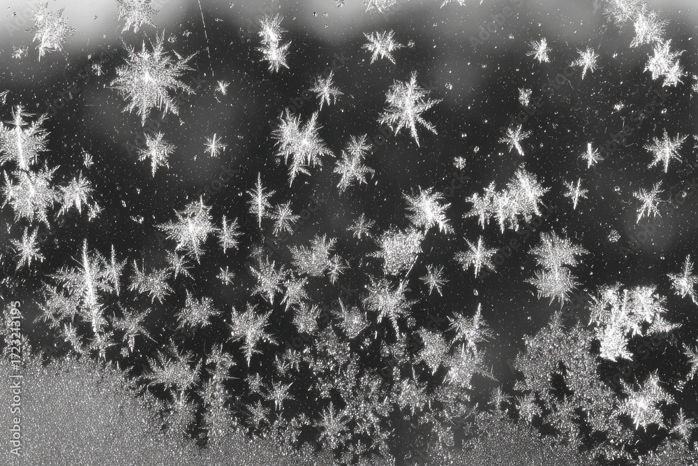 Obraz premium Frost patterns on a windowpane (4)