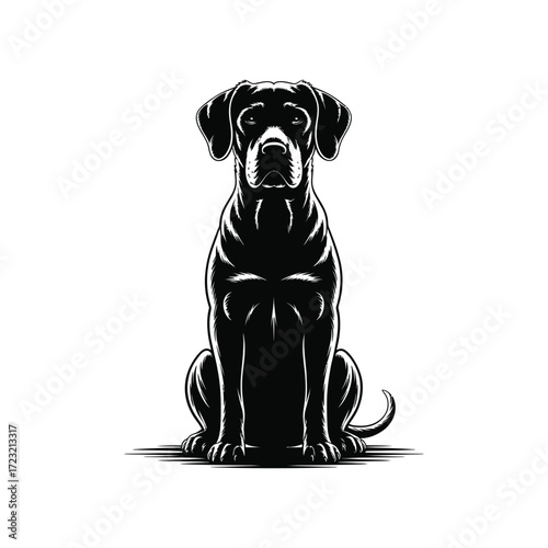 Great Dane Silhouette Illustration Vector: A Noble and Loyal Companion in Black Design, Perfect for Pet Projects and Canine Representations