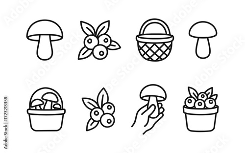 Set of mushroom and berry picking icons. Basket with mushrooms, berries branch and harvest collection. Black outline vector illustrations.
