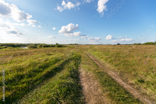 Scenic countryside path through grassy fields under bright blue sky with fluffy clouds at midday