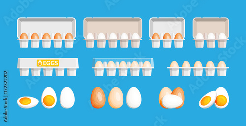 Set of chicken eggs in carton box. Fresh organic whole and boiled egg with yolk. Food ingredient. Vector style.
