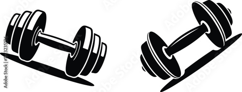 Two black and white dumbbells with dramatic shadows on a white background