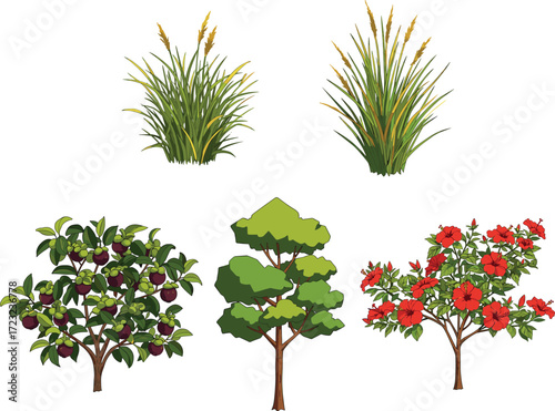 Fruit tree with purple plums, flowering red blossom tree, geometric leafy green tree, tall grass with seed heads, botanical vegetation illustration, landscape design