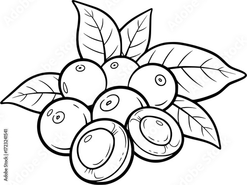 fresh acai berries with leaves isolated on white background - close-up of fresh acai berries with green leaves, whole and halved, showcasing their vibrant purple color and texture.
