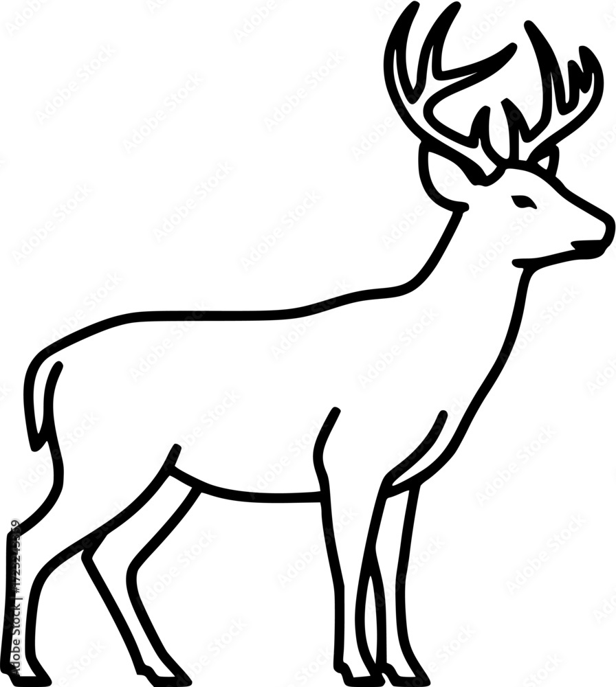 Fototapeta premium buck deer isolated on white background 