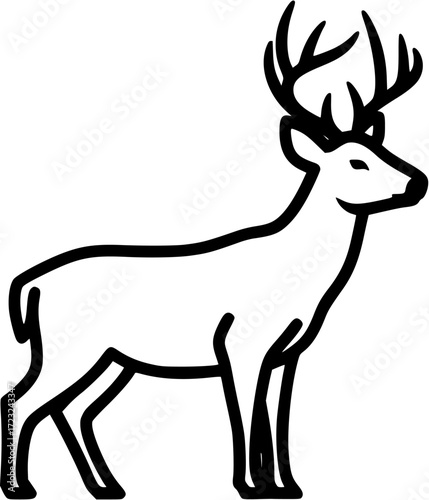 buck deer isolated on white background
