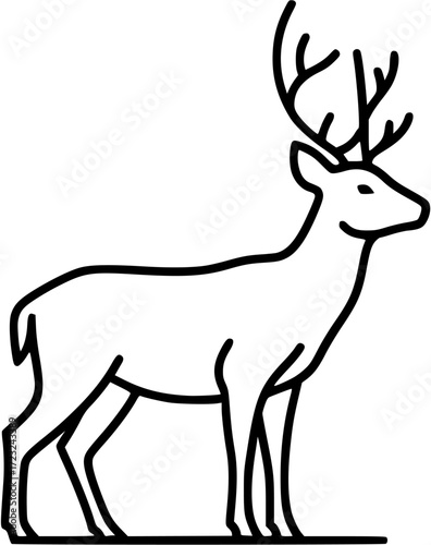 buck deer isolated on white background
