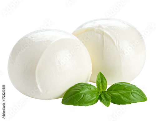 Two creamy white balls of fresh mozzarella cheese, nestled beside vibrant green basil leaves, against a black background