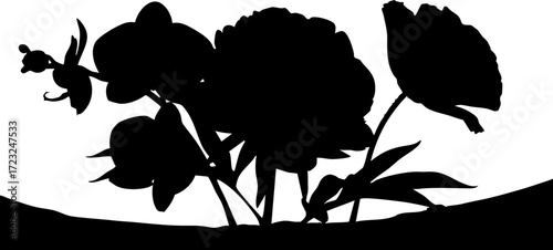 Elegant floral arrangement silhouette adding sophisticated beauty to designs, ideal for invitations, branding, and stylish backgrounds, originally vector