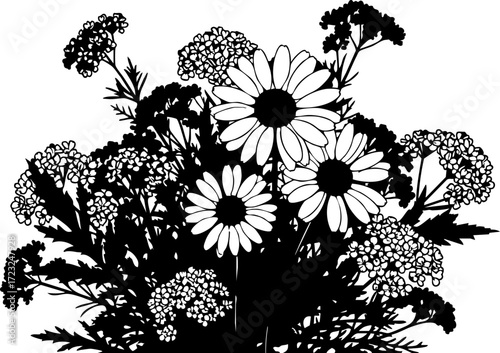 Vibrant bouquet of delicate daisies and airy yarrow blossoms, a charming botanical arrangement perfect for greeting cards, invitations, or naturalistic designs.