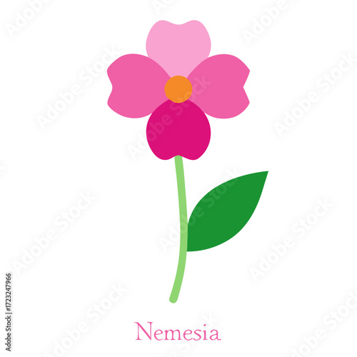 nemesia poetry pink flower vector on white background