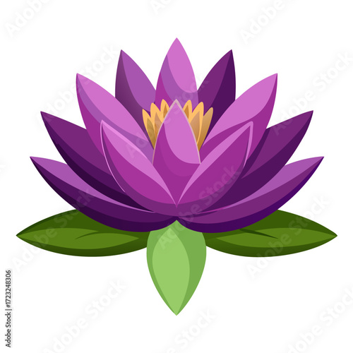 nymphaea alba purple flower vector on white background