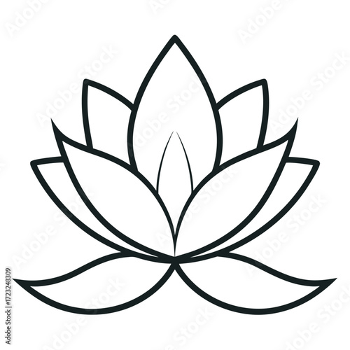 nymphaea odorata flower line art vector on white background
